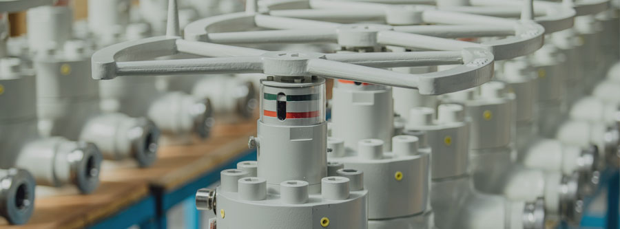 Flanges